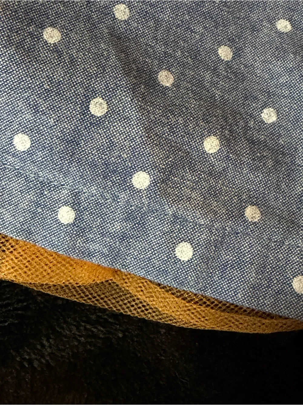Gymboree playful blue